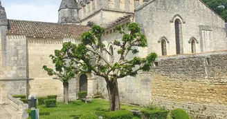 Eglise Saint-Cybard