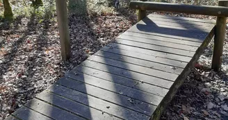 Forêt de Bois Blanc