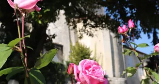 Jardin public de l'Hôtel de Ville