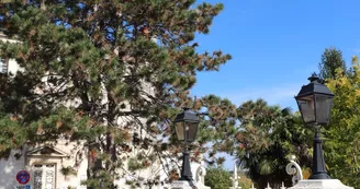 Jardin public de l'Hôtel de Ville