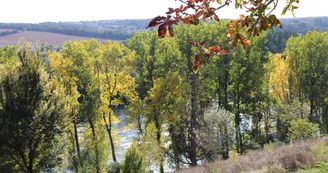 Les Sources de la Touvre