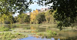 Les Sources de la Touvre