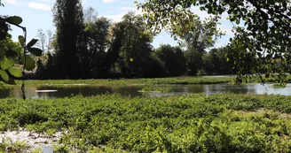 Les Sources de la Touvre