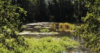 Les Sources de la Touvre