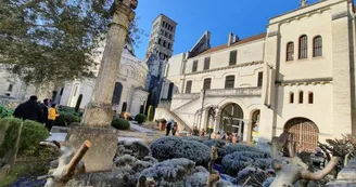 Nuit Européenne des musées au Musée d'Angoulême