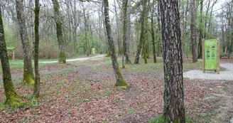 Aire de pique-nique de Bois Blanc