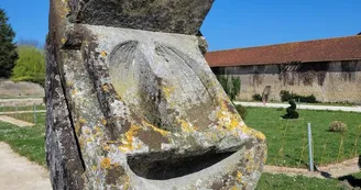 Exposition - Les œuvres du Sentier Métropolitain