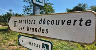 Le Sentier d'interprétation des Brandes Le Sentier d'interprétation des Brandes