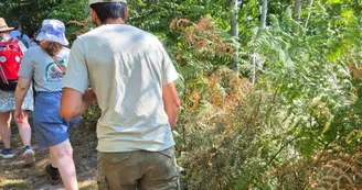 Le Sentier d'interprétation des Brandes_Soyaux Le Sentier d'interprétation des Brandes_Soyaux