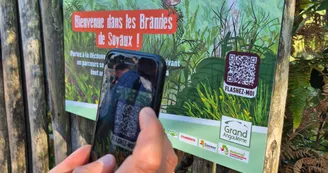 Le Sentier d'interprétation des Brandes_Soyaux Le Sentier d'interprétation des Brandes_Soyaux